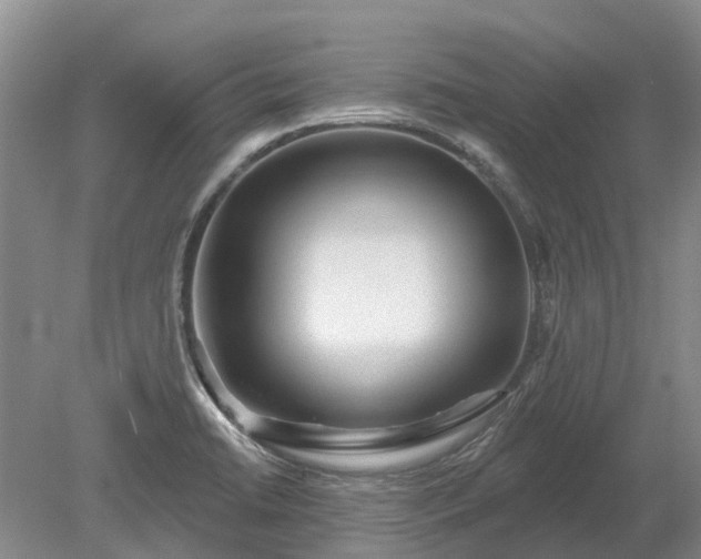 X0000078891422200611201425