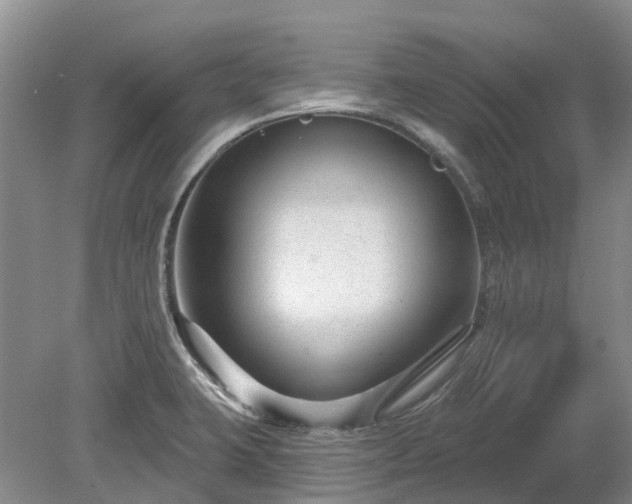 X0000078891423200611201425