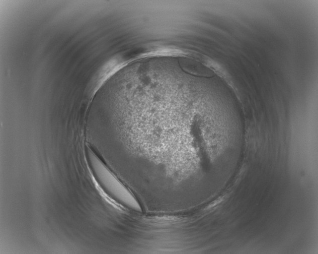 X0000078891425200611201425