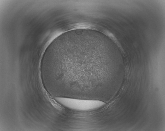 X0000078891427200611201425