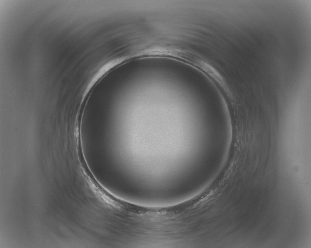 X0000078891428200611201425