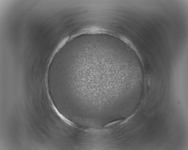 X0000078891429200611201425