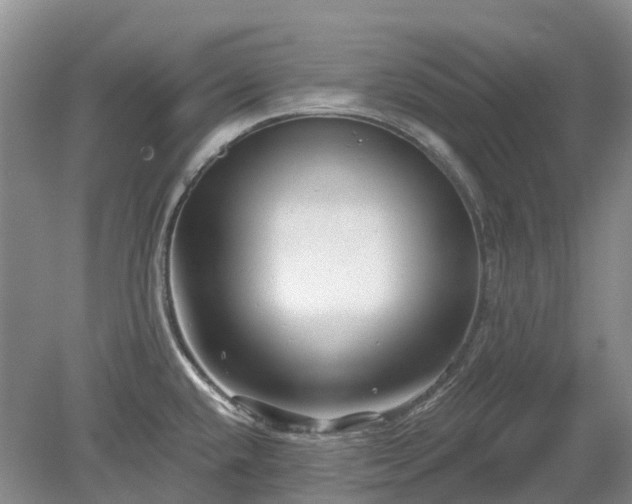 X0000078891432200611201425