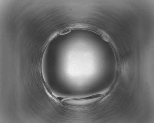 X0000078891433200611201425