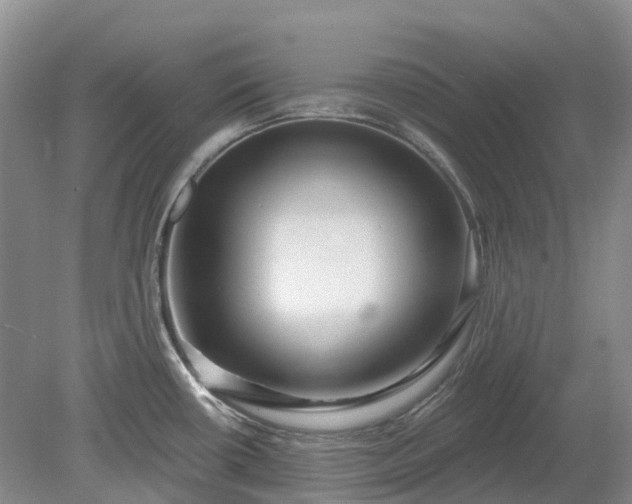 X0000078891434200611201425