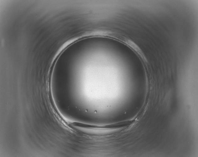 X0000078891436200611201425