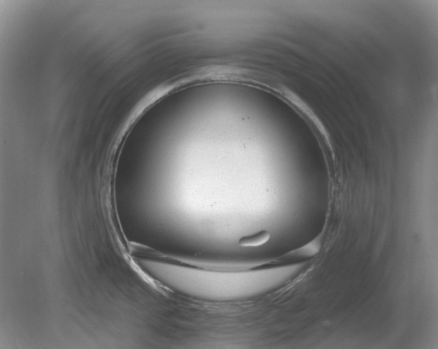 X0000078891437200611201425