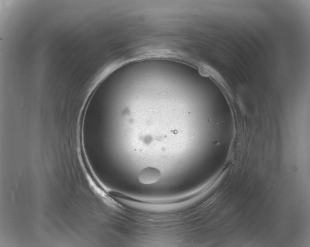 X0000078891439200611201425