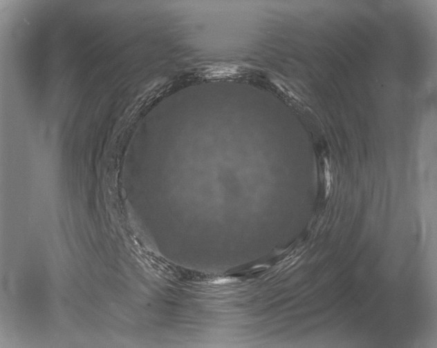 X0000078891441200611201424