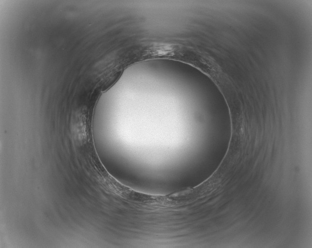 X0000078891442200611201424