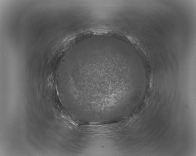 X0000078891445200611201424