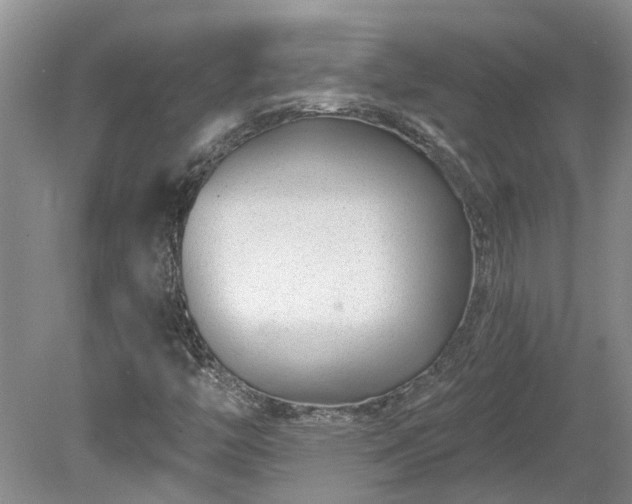 X0000078891446200611201424