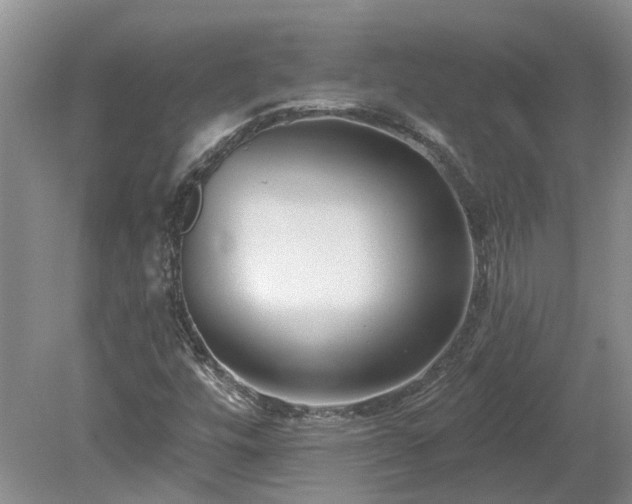 X0000078891448200611201424