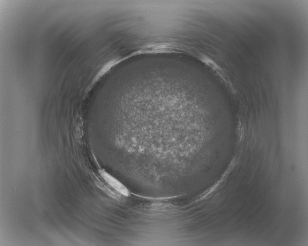 X0000078891449200611201424