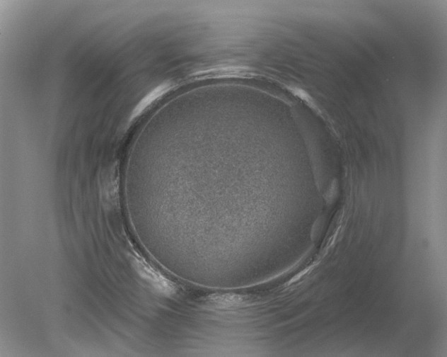 X0000078891450200611201424