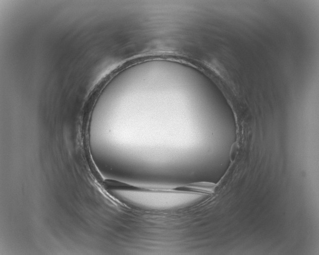 X0000078891452200611201424