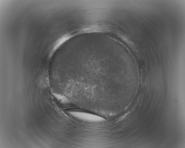 X0000078891453200611201424