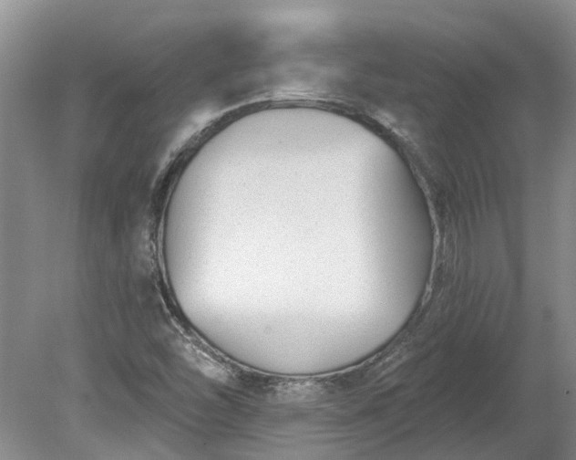 X0000078891454200611201424