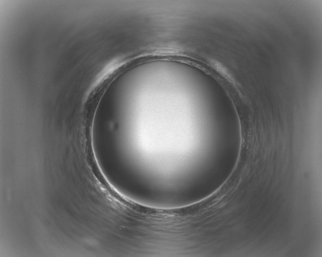 X0000078891456200611201424