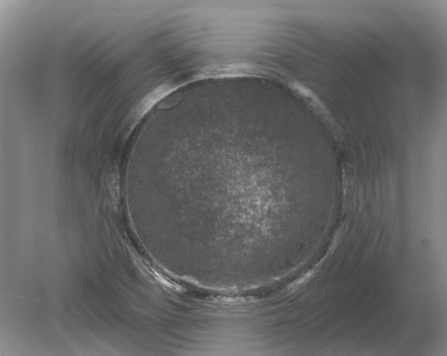 X0000078891457200611201424