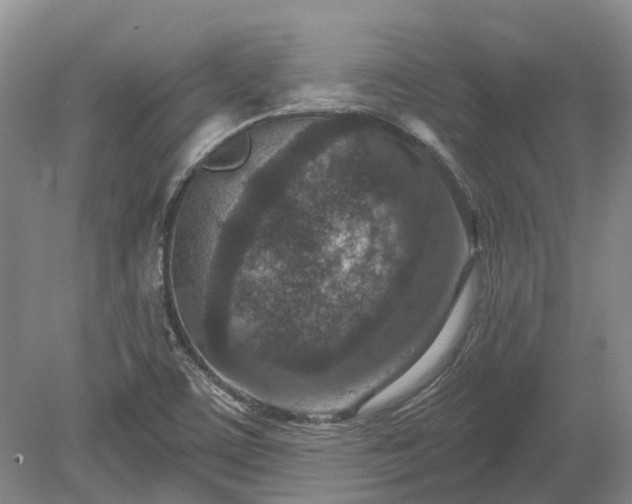 X0000078891459200611201424