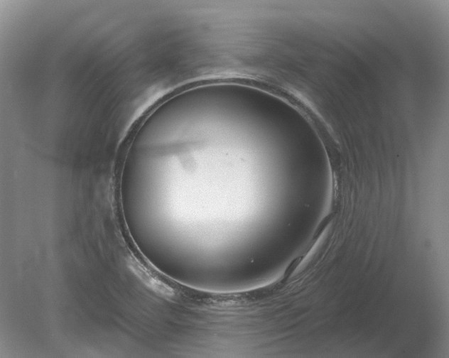 X0000078891460200611201424