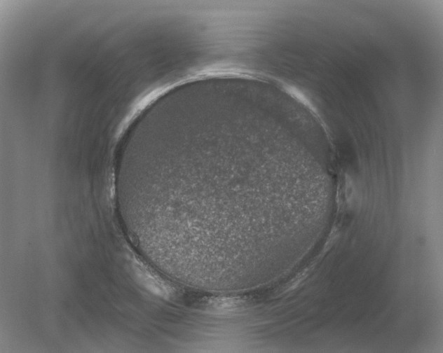 X0000078891461200611201424