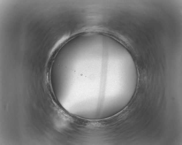 X0000078891462200611201424