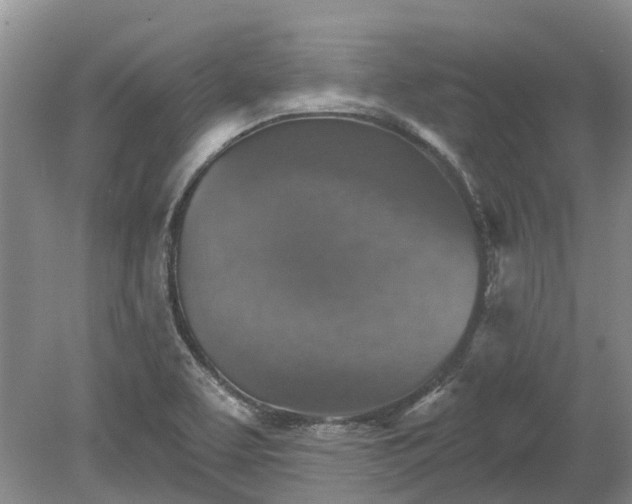 X0000078891463200611201424