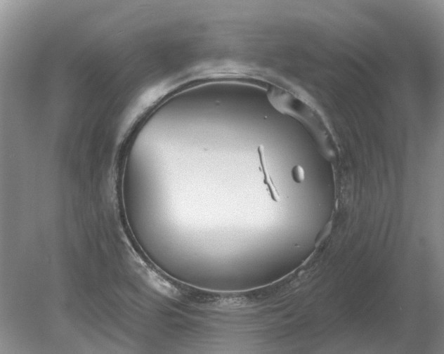 X0000078891464200611201424