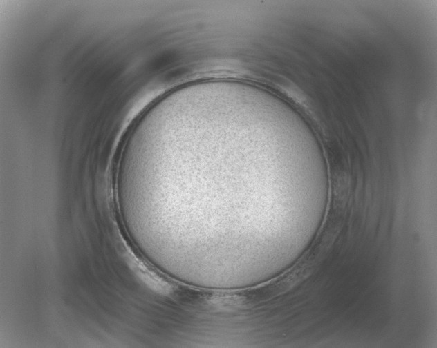 X0000078891466200611201424