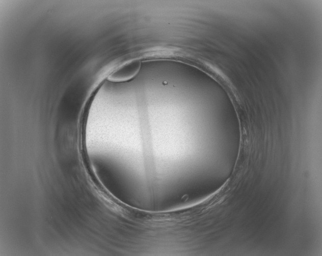 X0000078891467200611201424