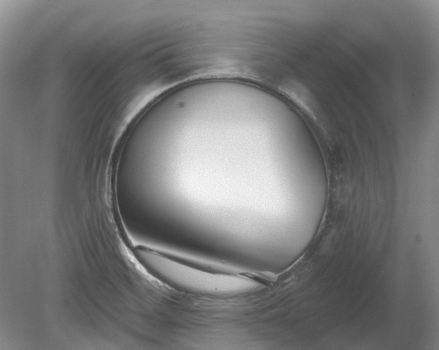 X0000078891468200611201424