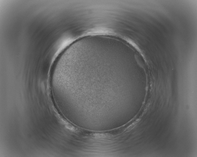 X0000078891469200611201424