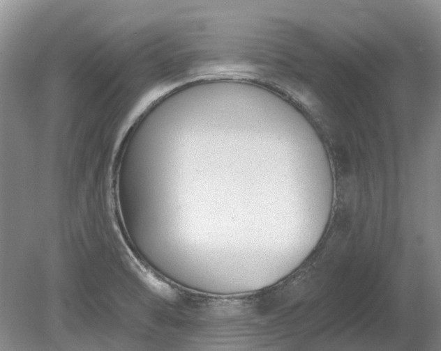 X0000078891470200611201424