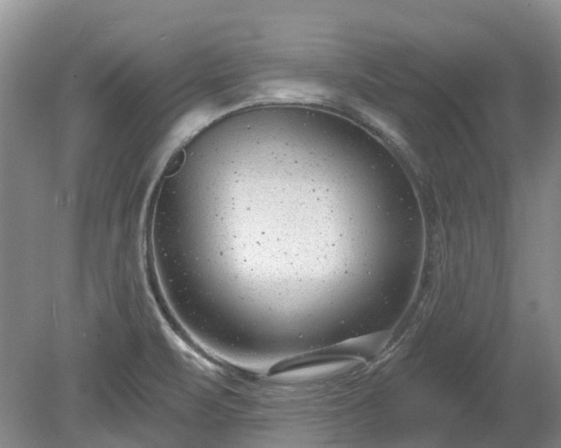 X0000078891471200611201424