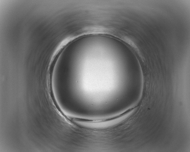 X0000078891472200611201424