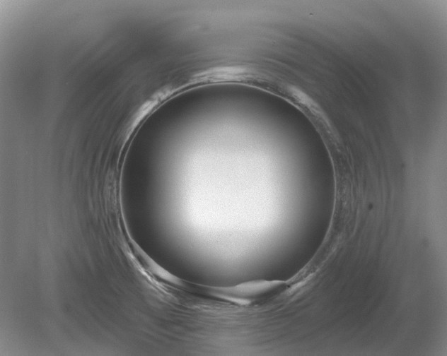 X0000078891473200611201424