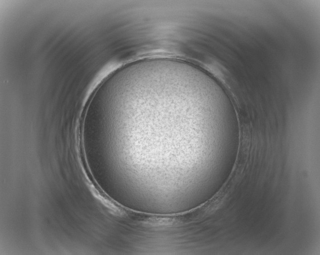 X0000078891474200611201424