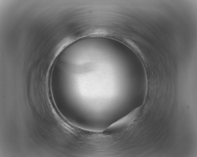 X0000078891475200611201424