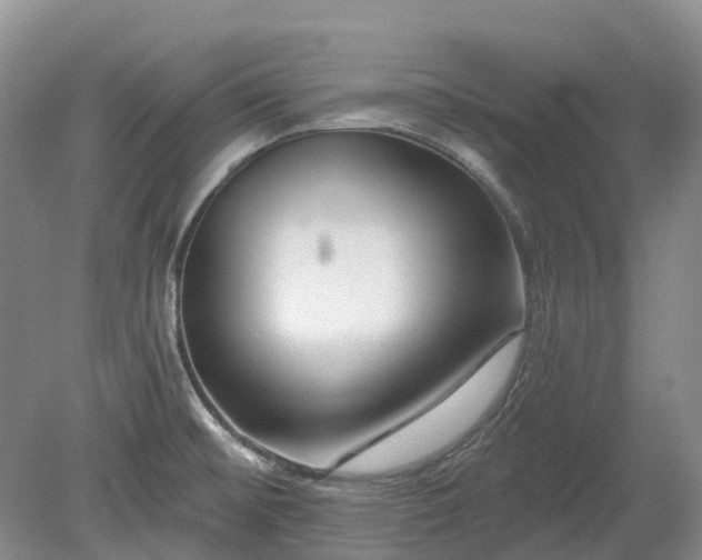 X0000078891476200611201424