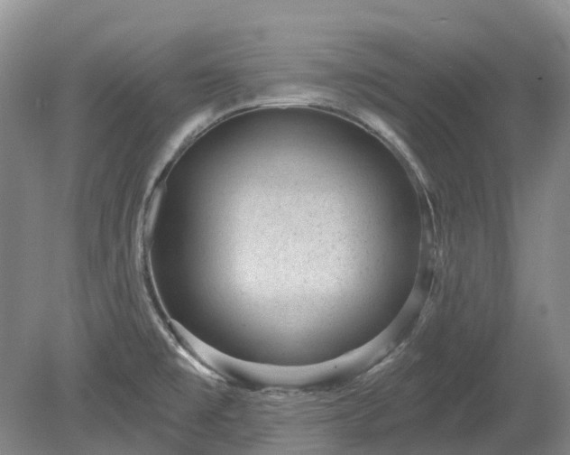 X0000078891477200611201424