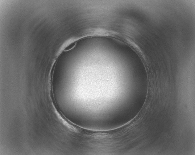 X0000078891479200611201424