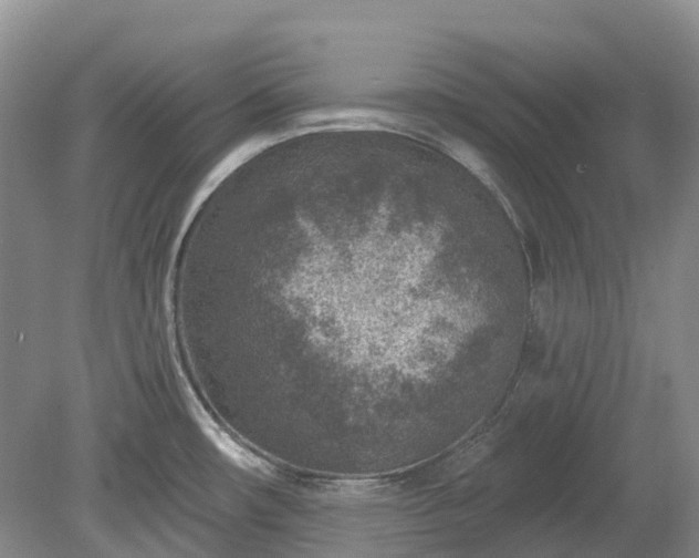 X0000078891482200611201424