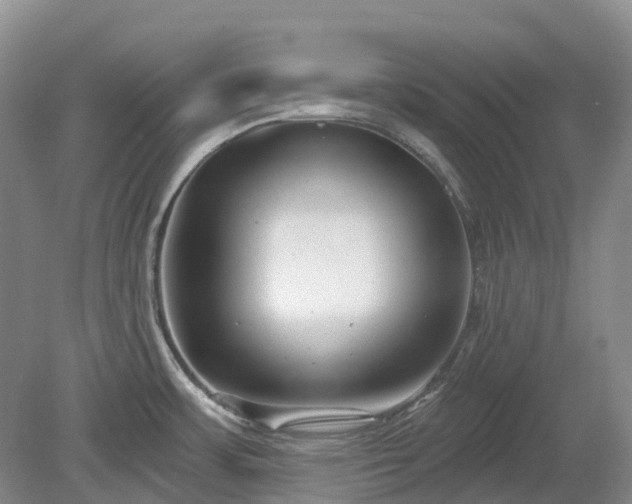 X0000078891483200611201424