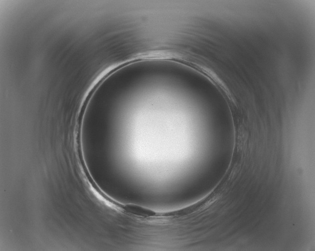 X0000078891484200611201424