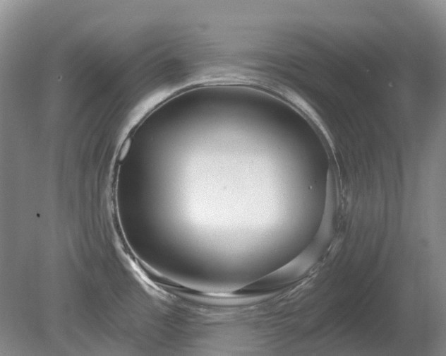 X0000078891485200611201424