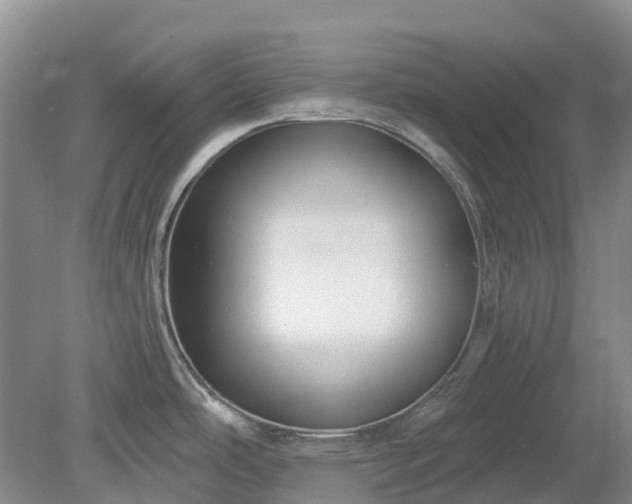 X0000078891486200611201423