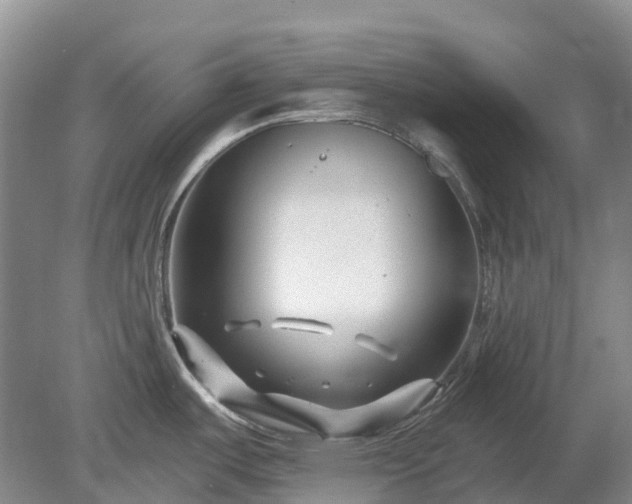 X0000078891487200611201423