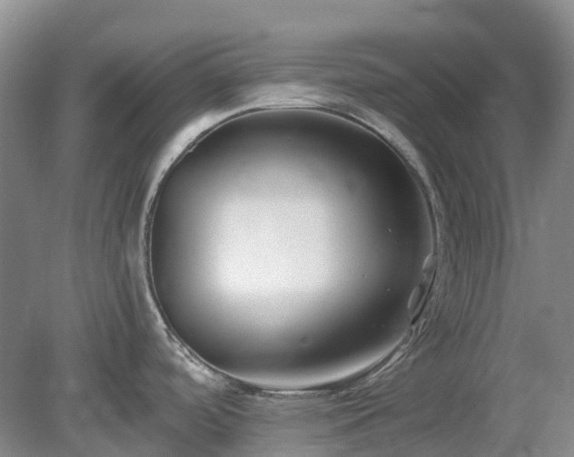 X0000078891488200611201423